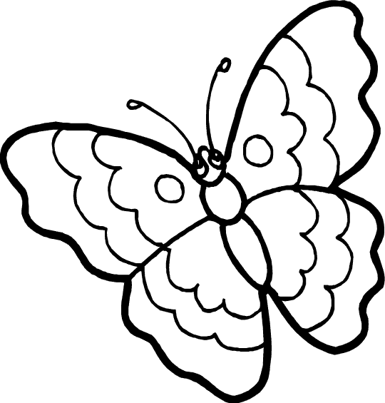 BUTTERFLY TO COLOR alternative pokemon art kitten coloring pages for kids
