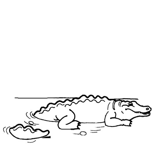 Crocodile Color Pages 1