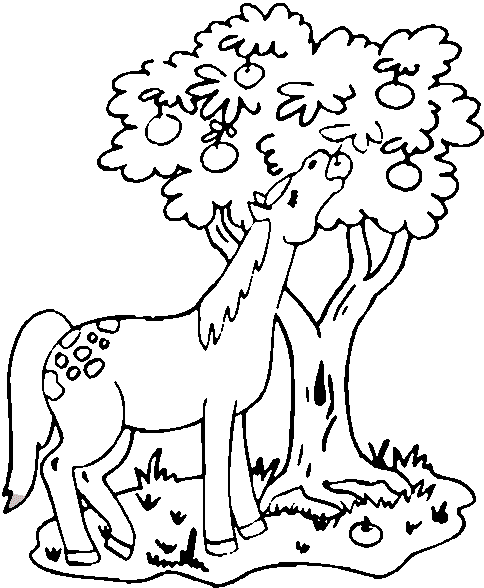 Colour Page Horse