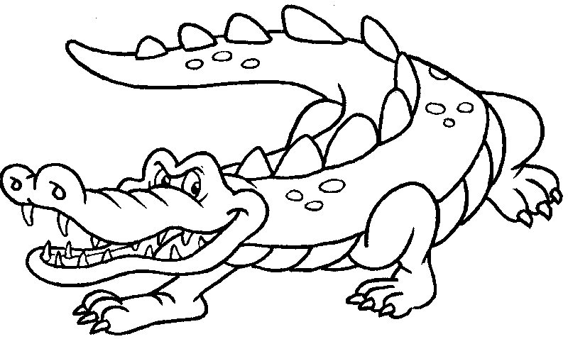 Crocodile Color Pages 3