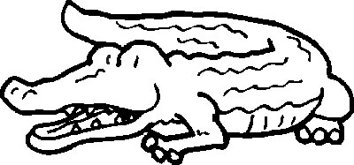 Crocodile Color Pages 10
