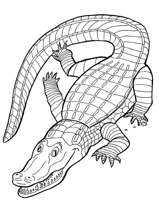 Crocodile Color Pages 11