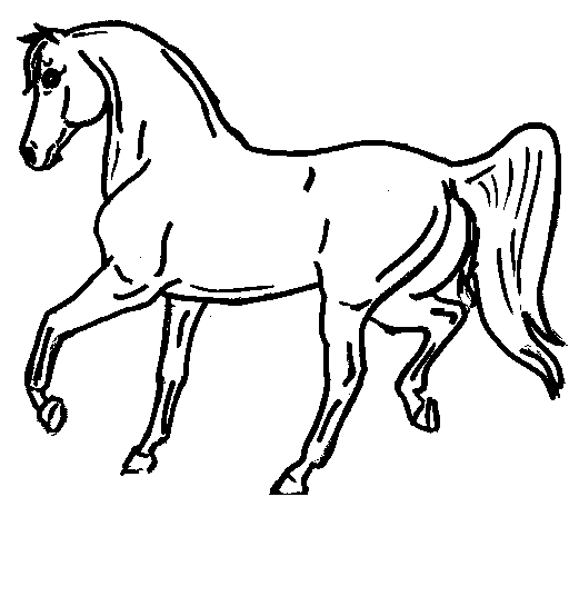 Horse Color Pages 3