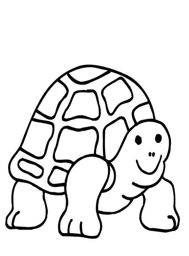 Turtle Color Pages 1