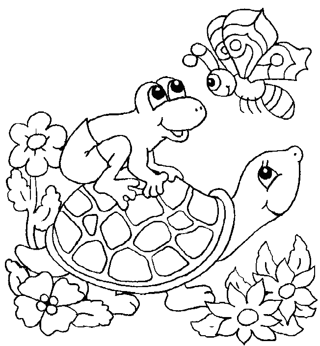 Turtle Color Pages 12