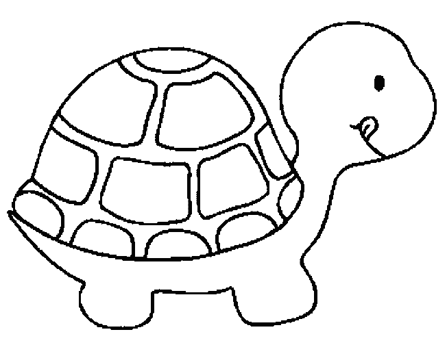 Turtle Color Pages 6